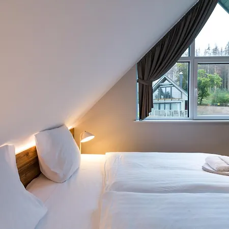 Alm-chalet Premium 2 Holiday home Clausthal-Zellerfeld